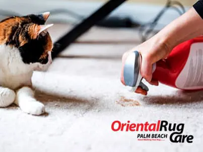 Pet Stain Removal Service