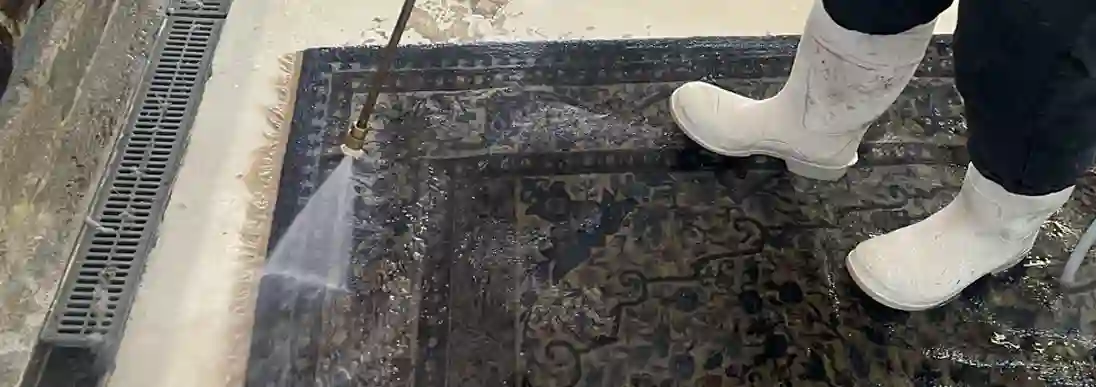 Oriental Rug Dust Cleaning Palm Beach