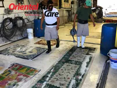 Modern Rug Cleaning Service