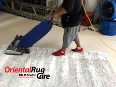 Modern Rug Cleaner Palm Beach