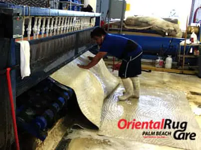 Oriental rug water extraction