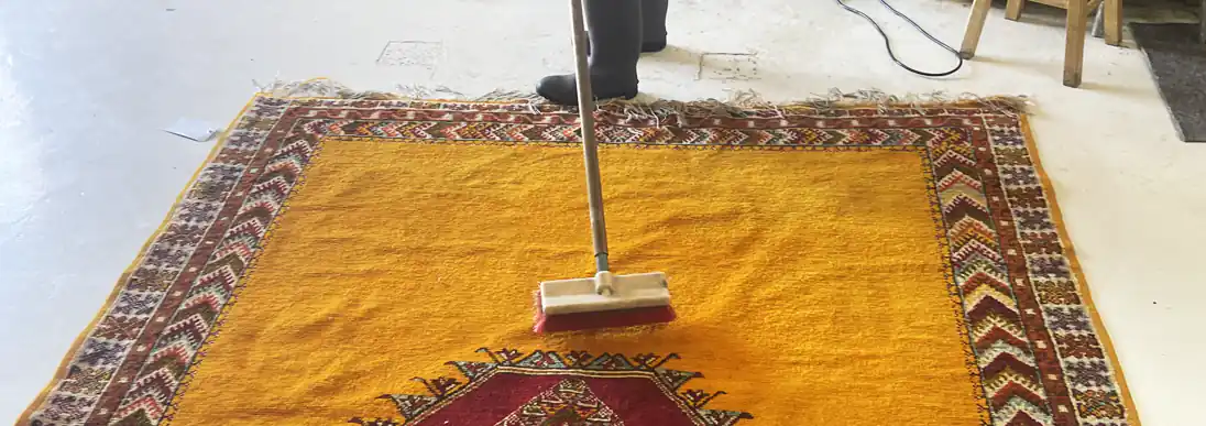 Oriental Rug Cleaning Servics Dahlberg