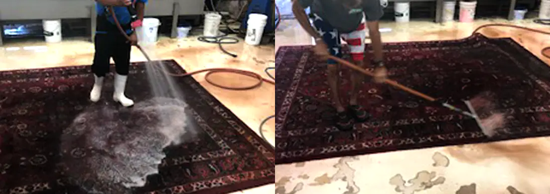 Oriental Rug Cleaning Servics Kingsland