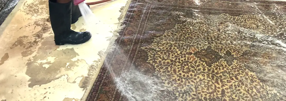 Oriental Rug Cleaning Servics N Palm Beach Heights