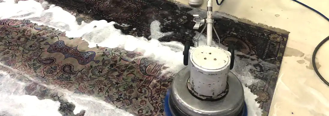 Oriental Rug Cleaning Servics Singer Island