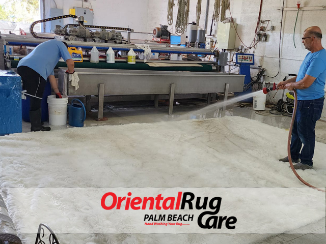 Modern Rug Cleaning