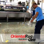Pet Odor & Stain Removal
