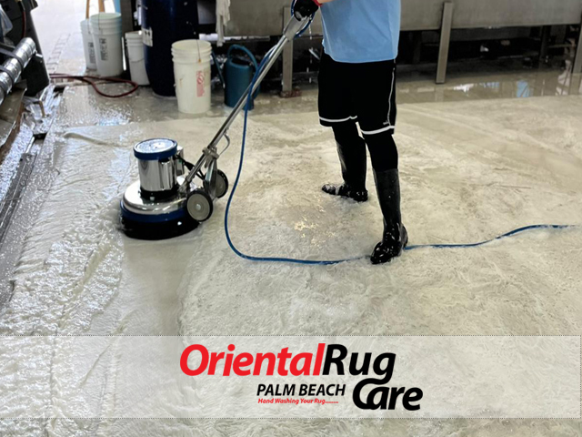 Pet Odor & Stain Removal Service Pet Odor & Stain Removal Service