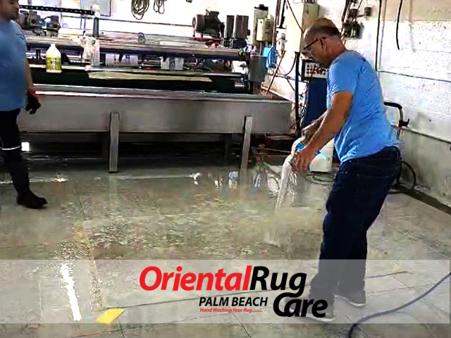 Pet Odor & Stain Removal