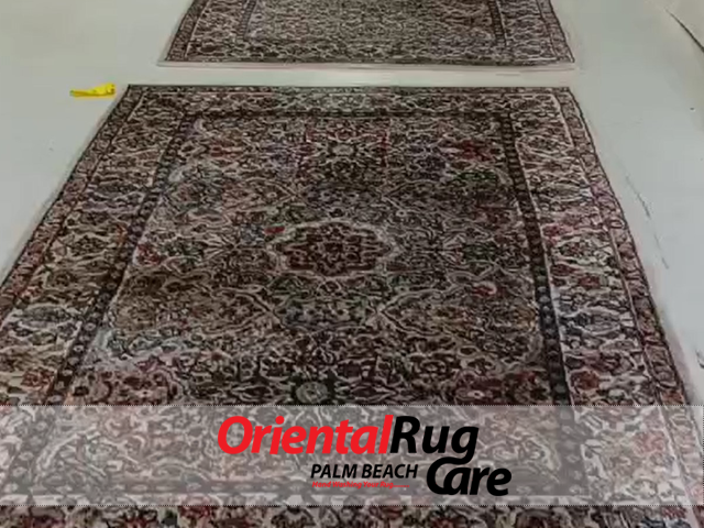 Rug Pet Stain & Odor Removal Service