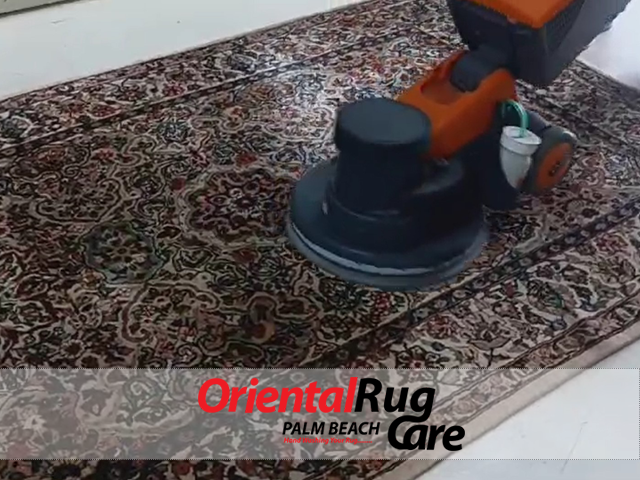 Rug Pet Stain & Odor Removal