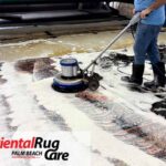 Pet Odor & Stain Removal Services