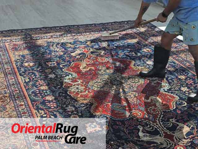 Pet Odor & Stain Removal Services