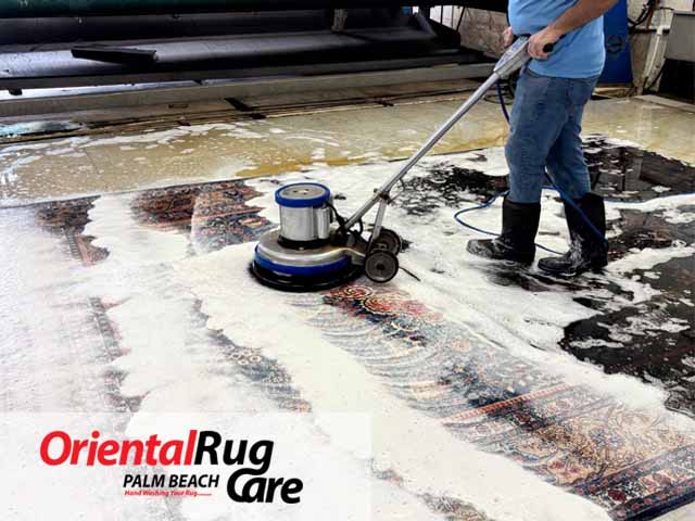 Pet Odor & Stain Removal Services